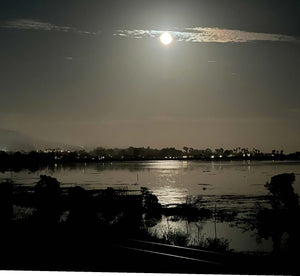 Marsh Moonrise