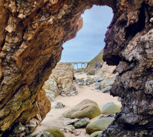 The 2026 Carpinteria Calendar