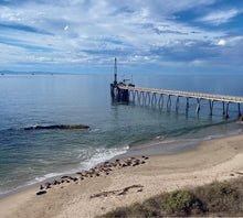 Load image into Gallery viewer, The 2026 Carpinteria Calendar