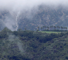Load image into Gallery viewer, The 2026 Carpinteria Calendar