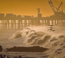 Load image into Gallery viewer, The 2026 Carpinteria Calendar